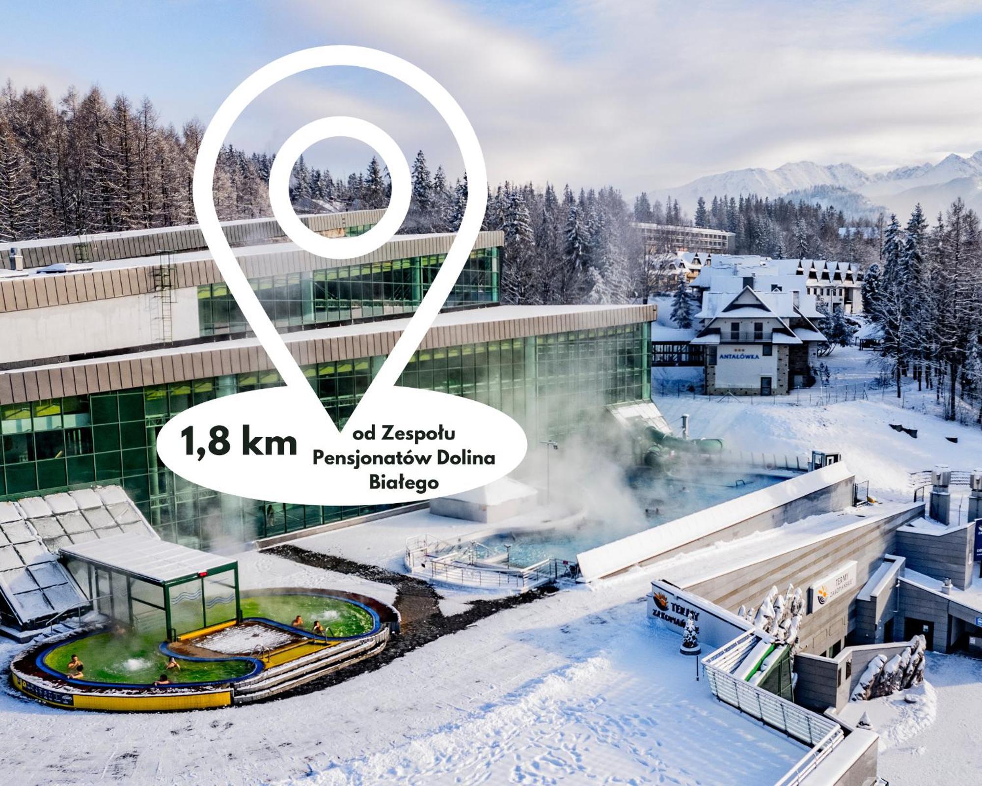 Zespol Dolina Bialego - Pensjonat Bialy Potok Otel Zakopane Dış mekan fotoğraf